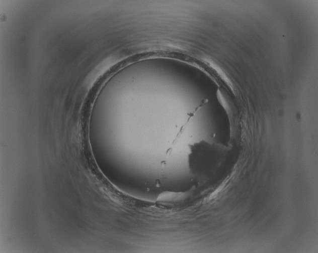 X0000071780975200606301216