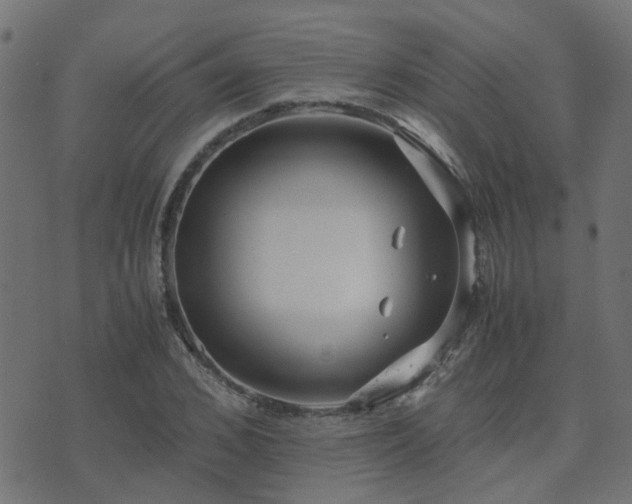 X0000071780976200606301216