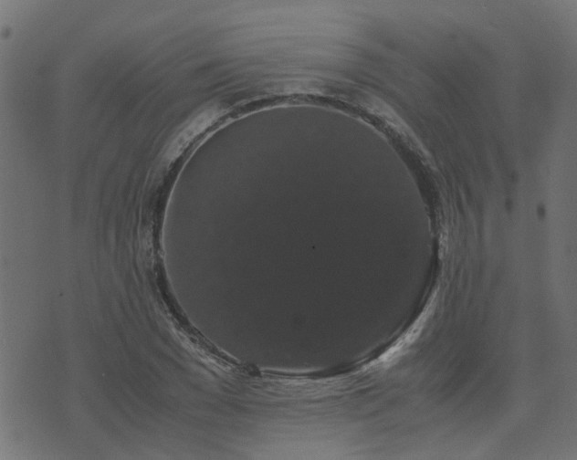 X0000071780977200606301216