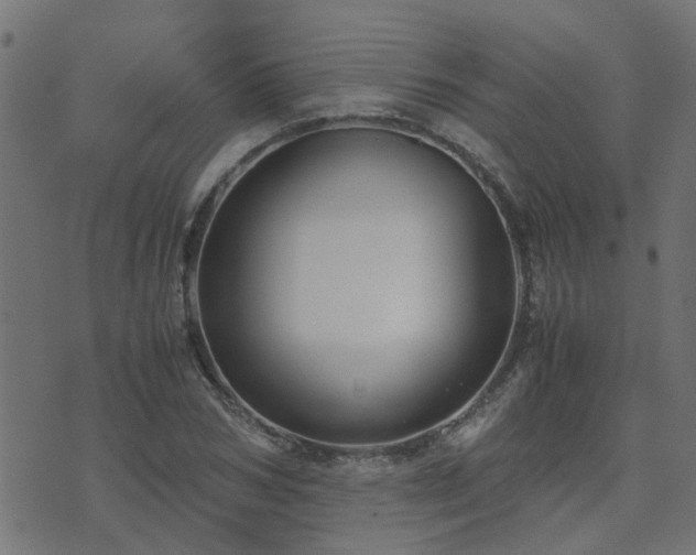 X0000071780978200606301216