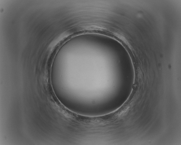 X0000071780979200606301216