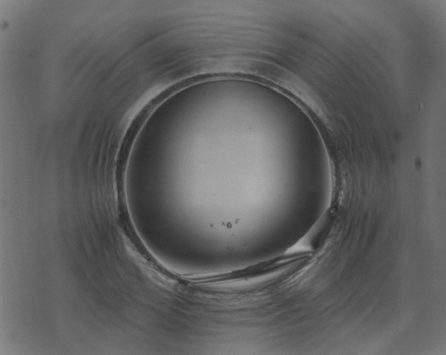 X0000071780980200606301216