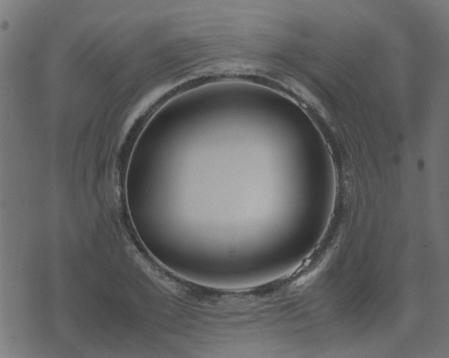 X0000071780981200606301216