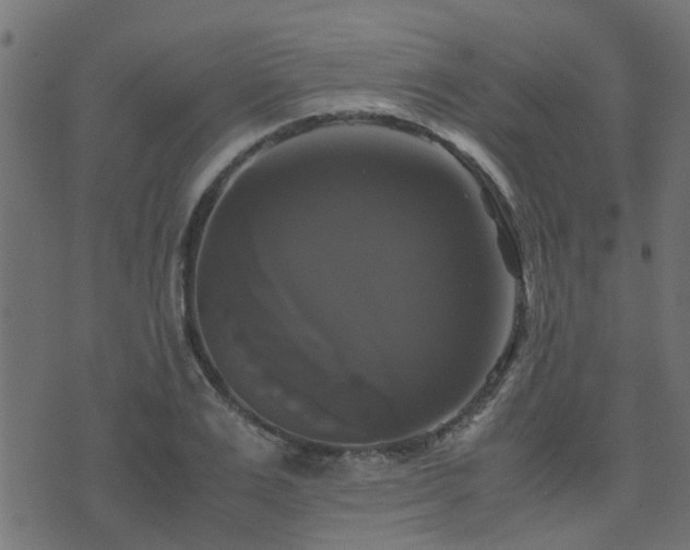 X0000071780983200606301216