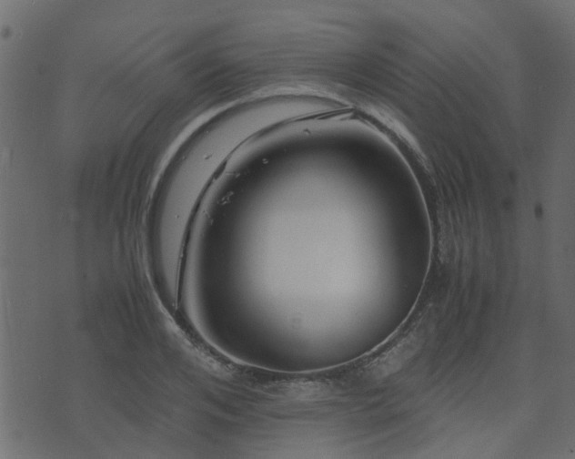 X0000071780984200606301216