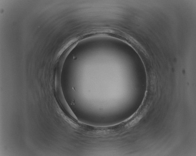 X0000071780985200606301216