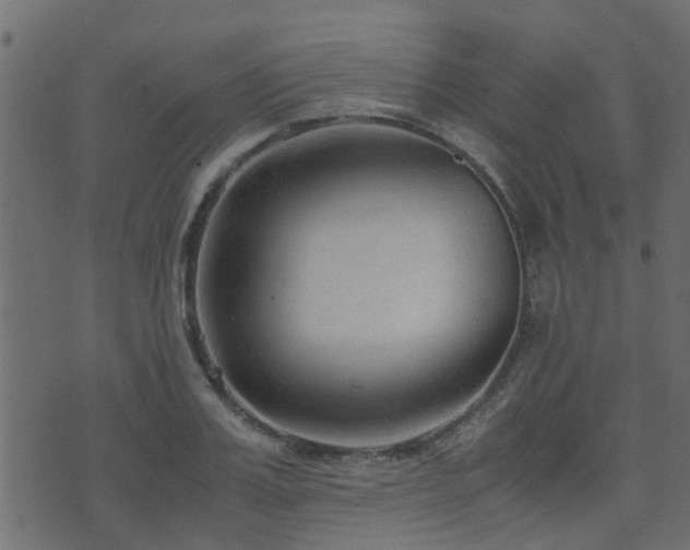 X0000071780987200606301216