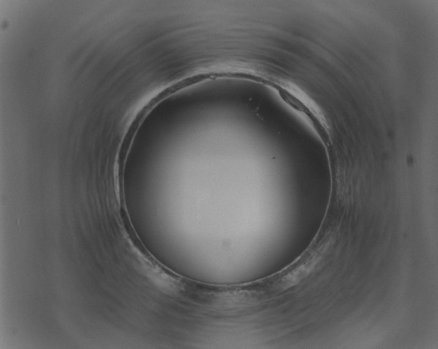 X0000071780988200606301216