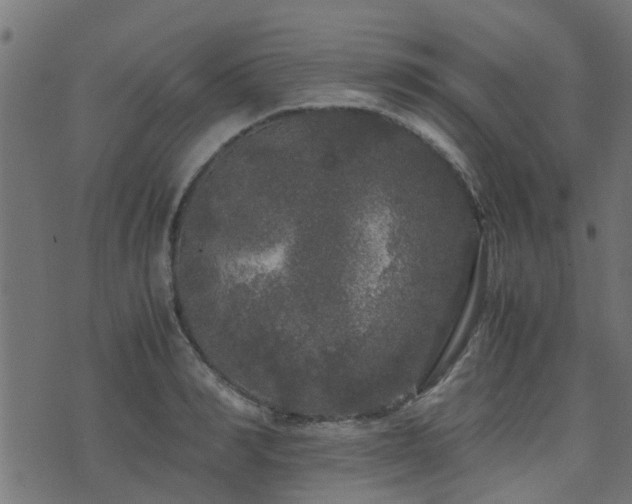 X0000071780990200606301216