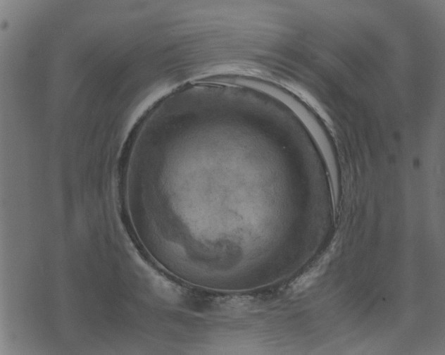 X0000071780991200606301216