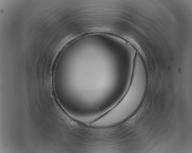 X0000071780992200606301216