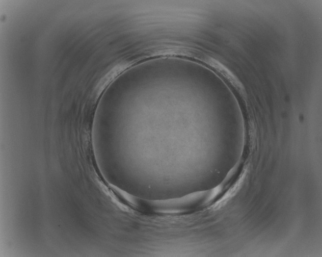 X0000071780993200606301216