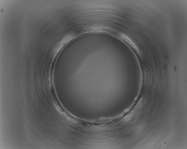 X0000071780994200606301216