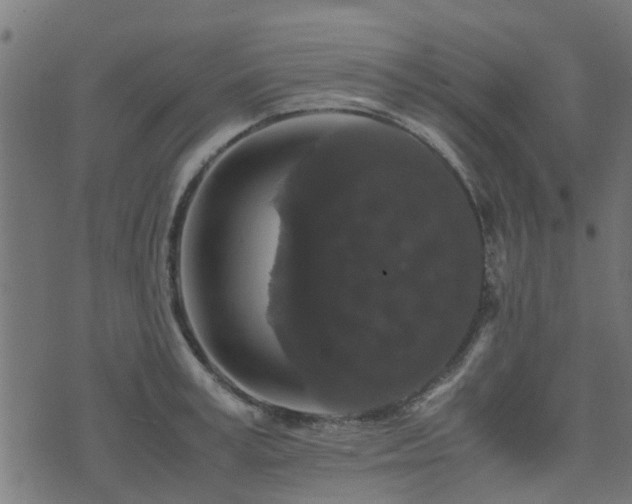 X0000071780995200606301216