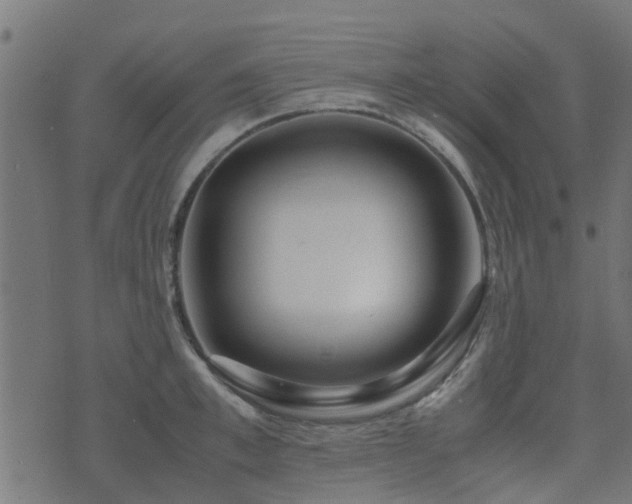 X0000071780997200606301215