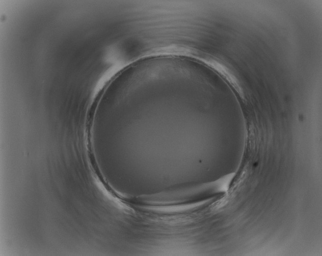 X0000071780998200606301215