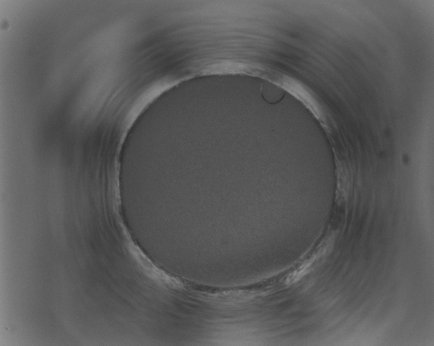 X0000071781000200606301215