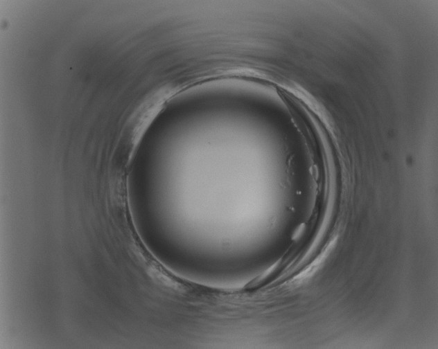 X0000071781001200606301215