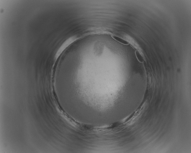 X0000071781002200606301215