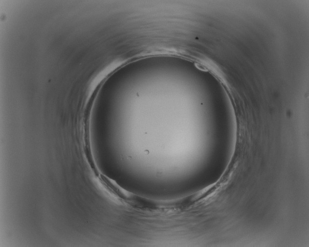 X0000071781003200606301215