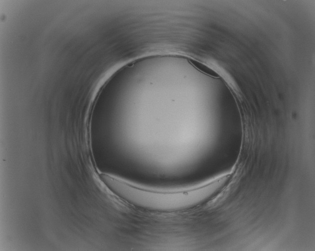 X0000071781004200606301215