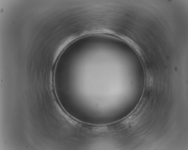 X0000071781006200606301215