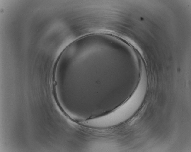 X0000071781007200606301215