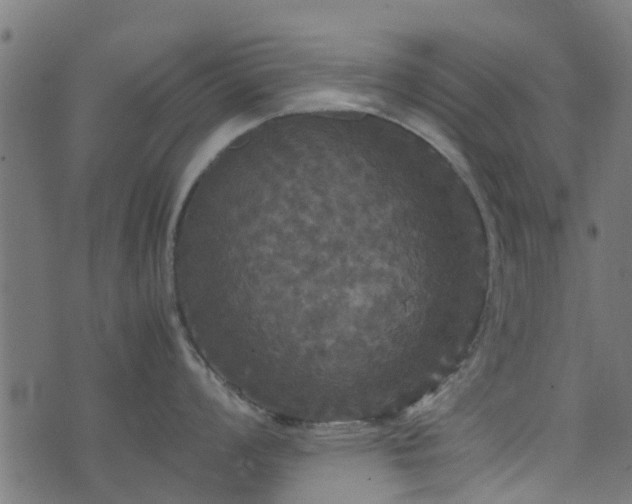 X0000071781008200606301215