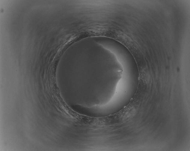 X0000071781009200606301215