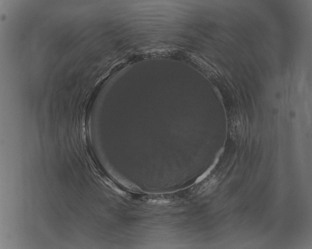 X0000071781010200606301215