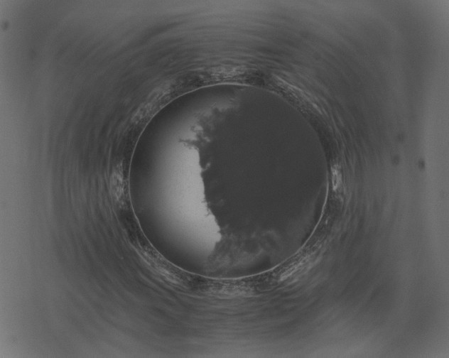 X0000071781011200606301215