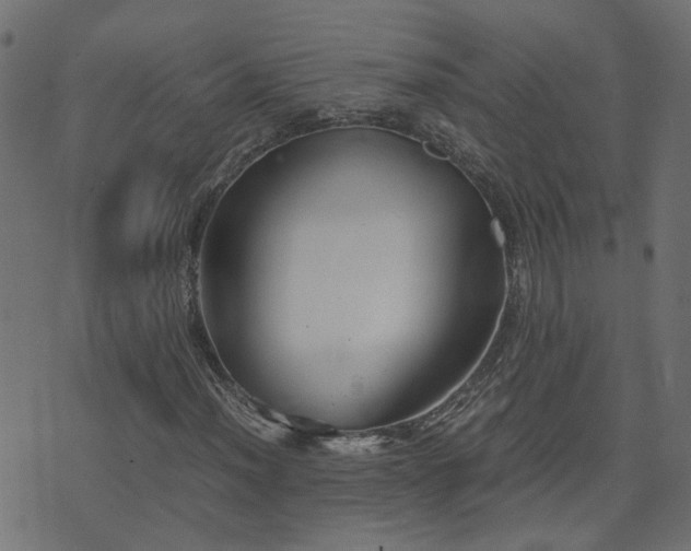 X0000071781012200606301215