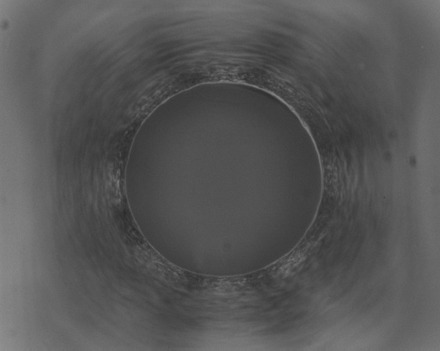 X0000071781013200606301215