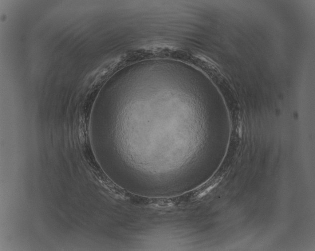 X0000071781014200606301215