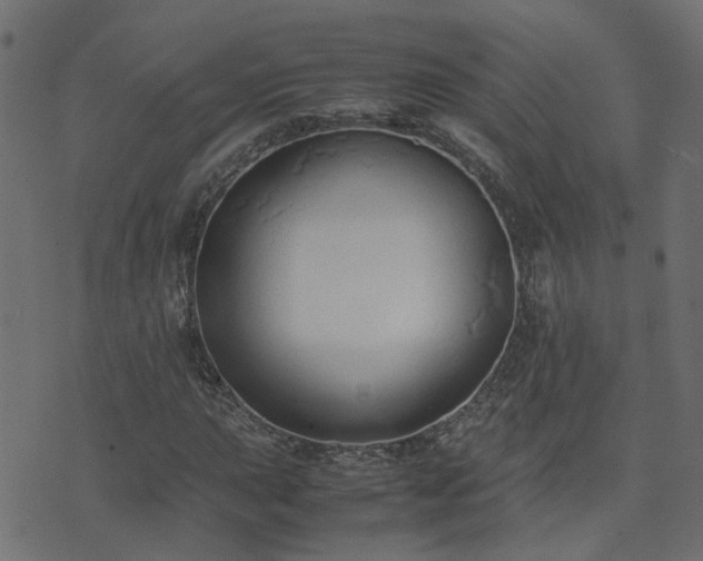 X0000071781015200606301215