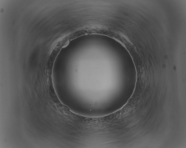 X0000071781016200606301215