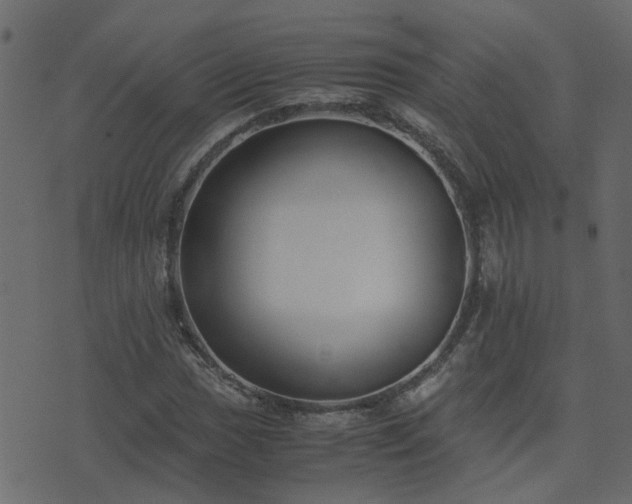 X0000071781017200606301215