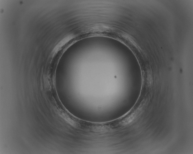 X0000071781018200606301215