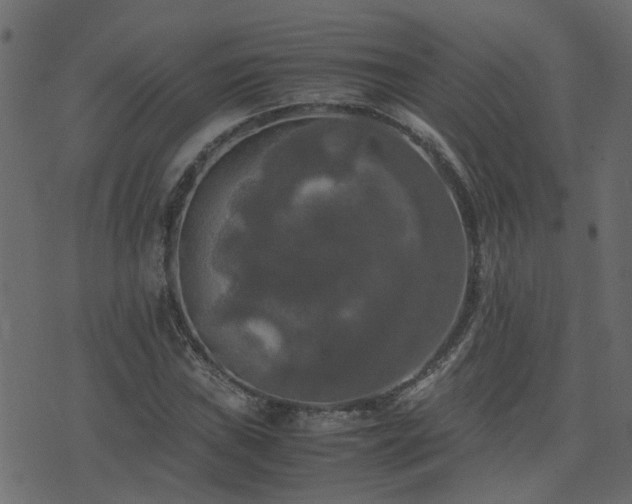 X0000071781019200606301215