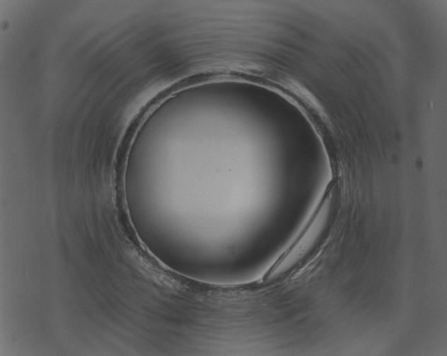 X0000071781020200606301215