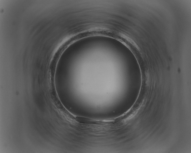 X0000071781021200606301215