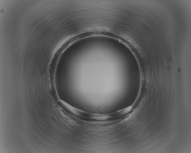 X0000071781022200606301215