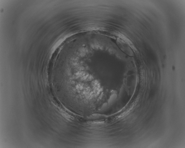 X0000071781023200606301215