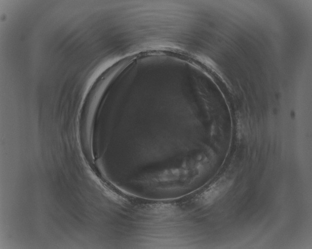 X0000071781024200606301215