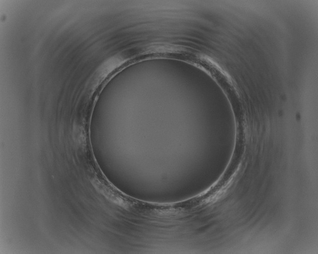 X0000071781025200606301215