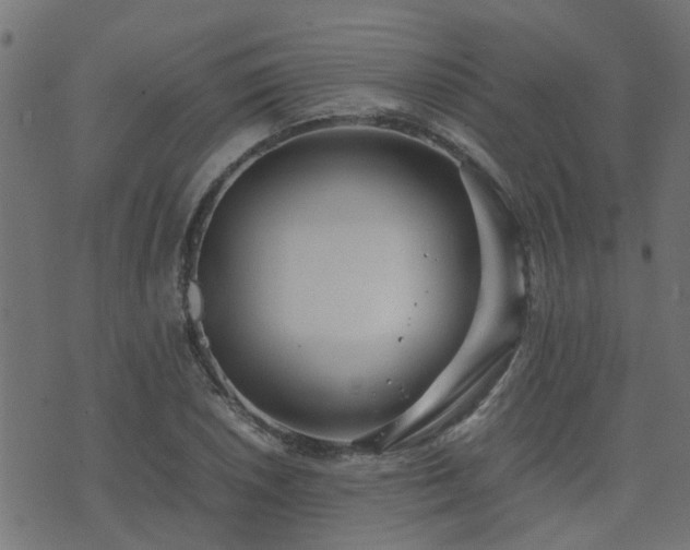 X0000071781026200606301215