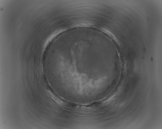 X0000071781027200606301215