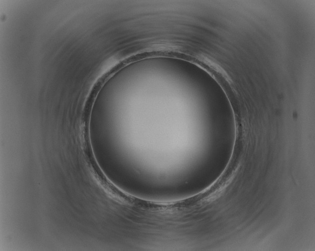 X0000071781029200606301215