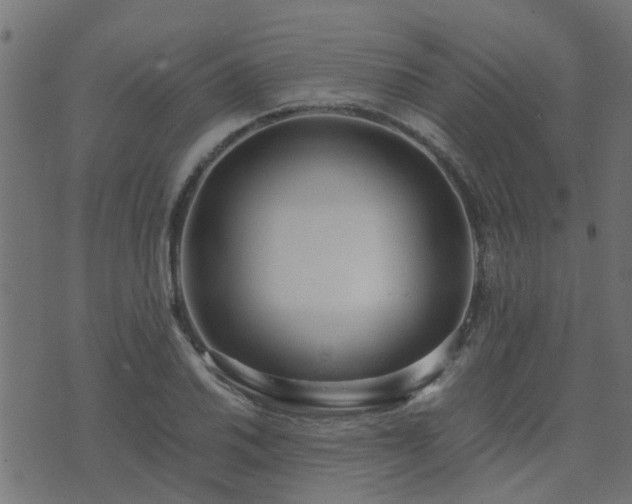 X0000071781030200606301215