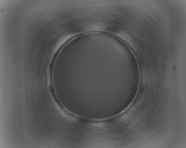 X0000071781031200606301215